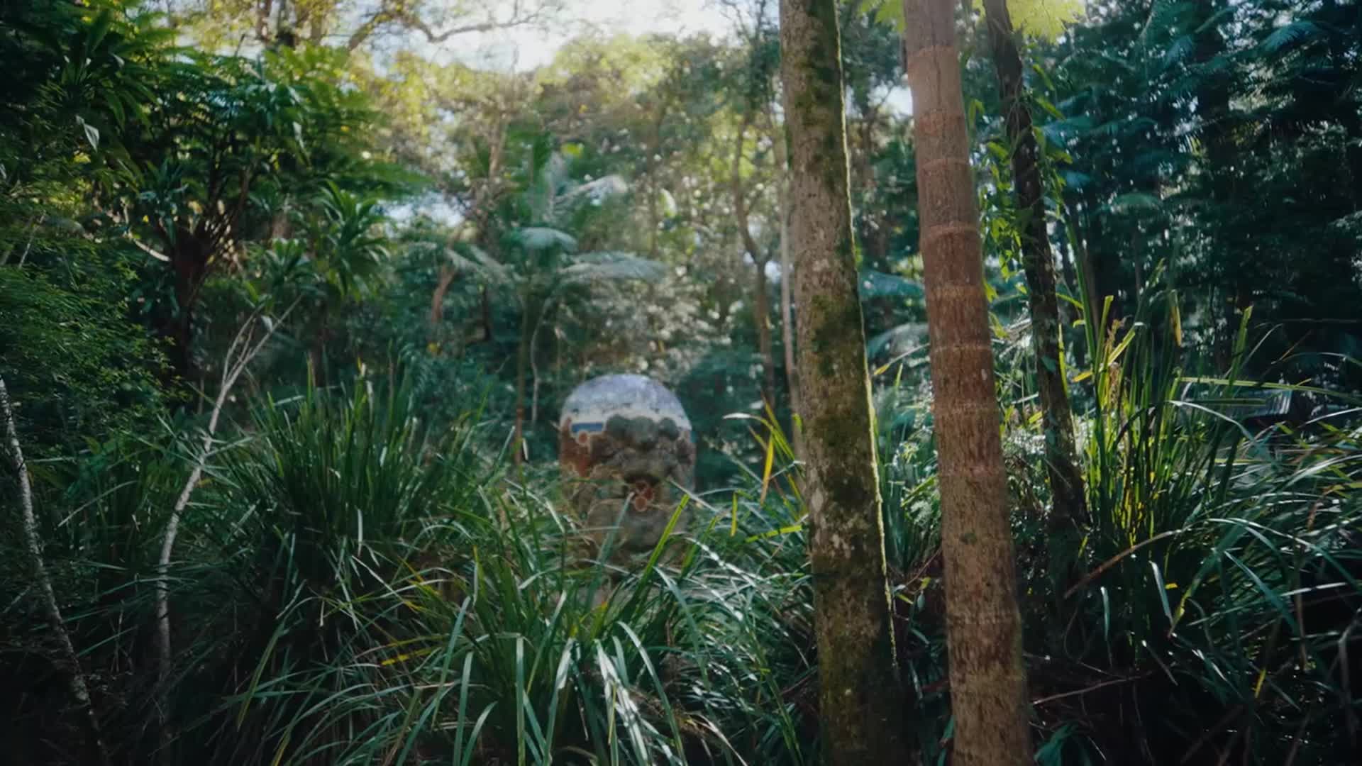 Related Video Item Thumbnail