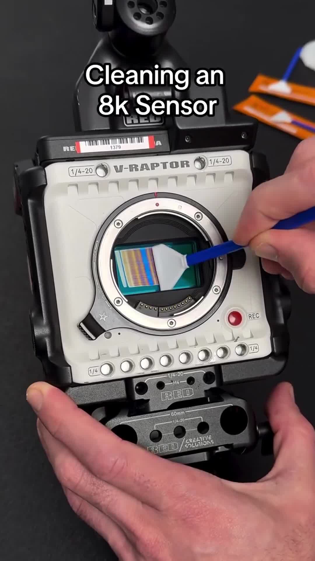 Revolt Camera - Sensor Clean - 2025