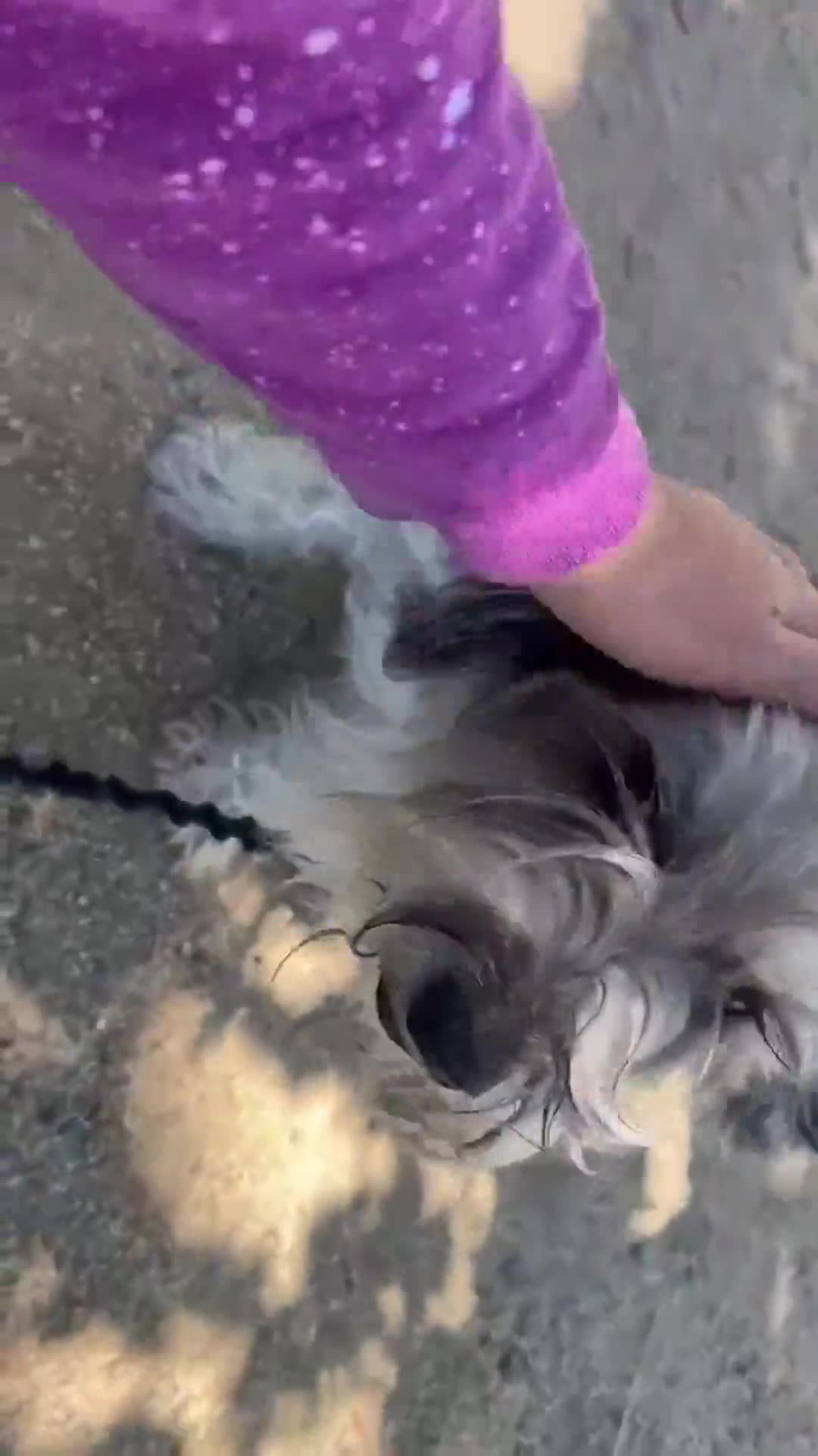 Related Video Item Thumbnail