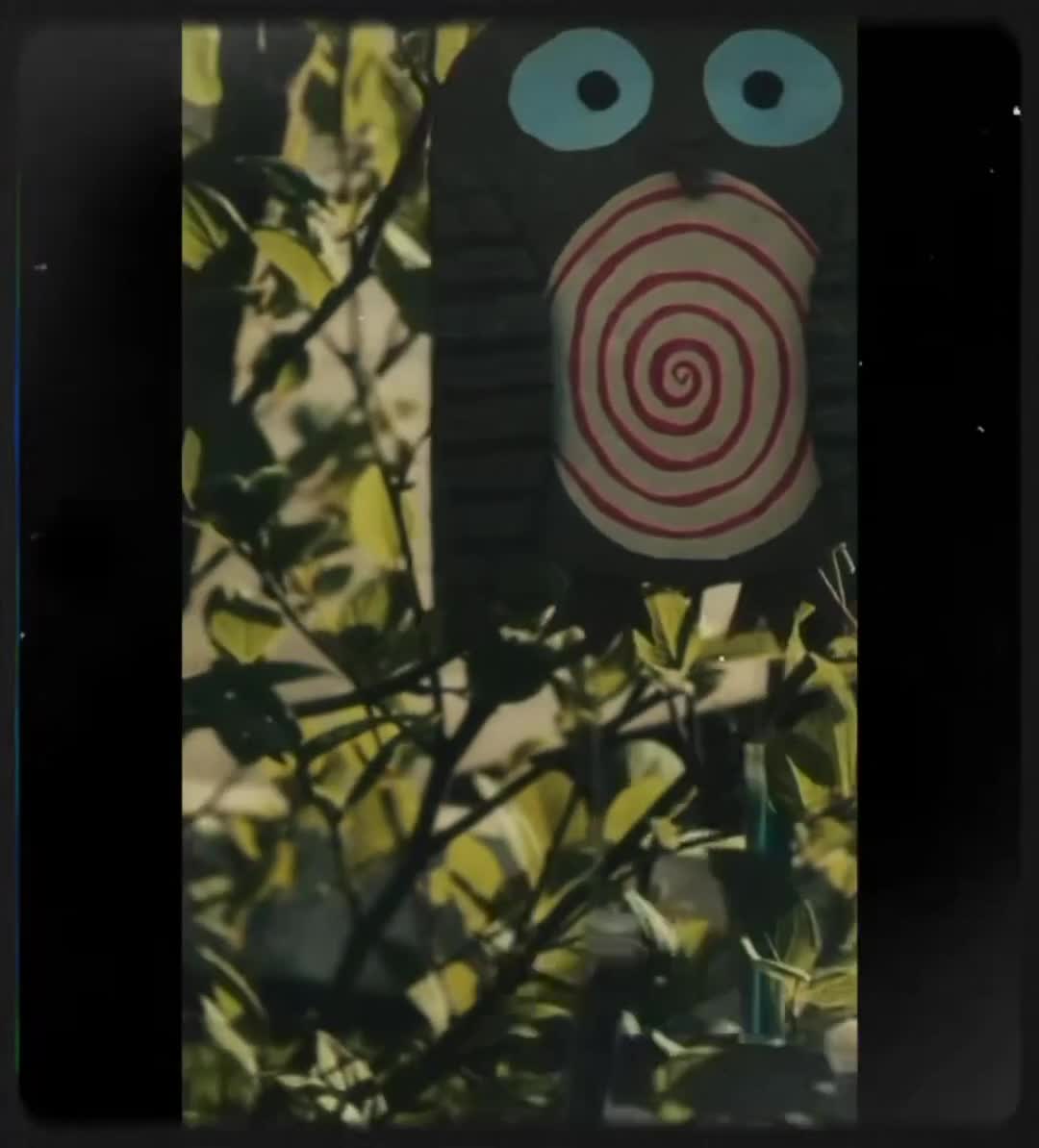 Related Video Item Thumbnail