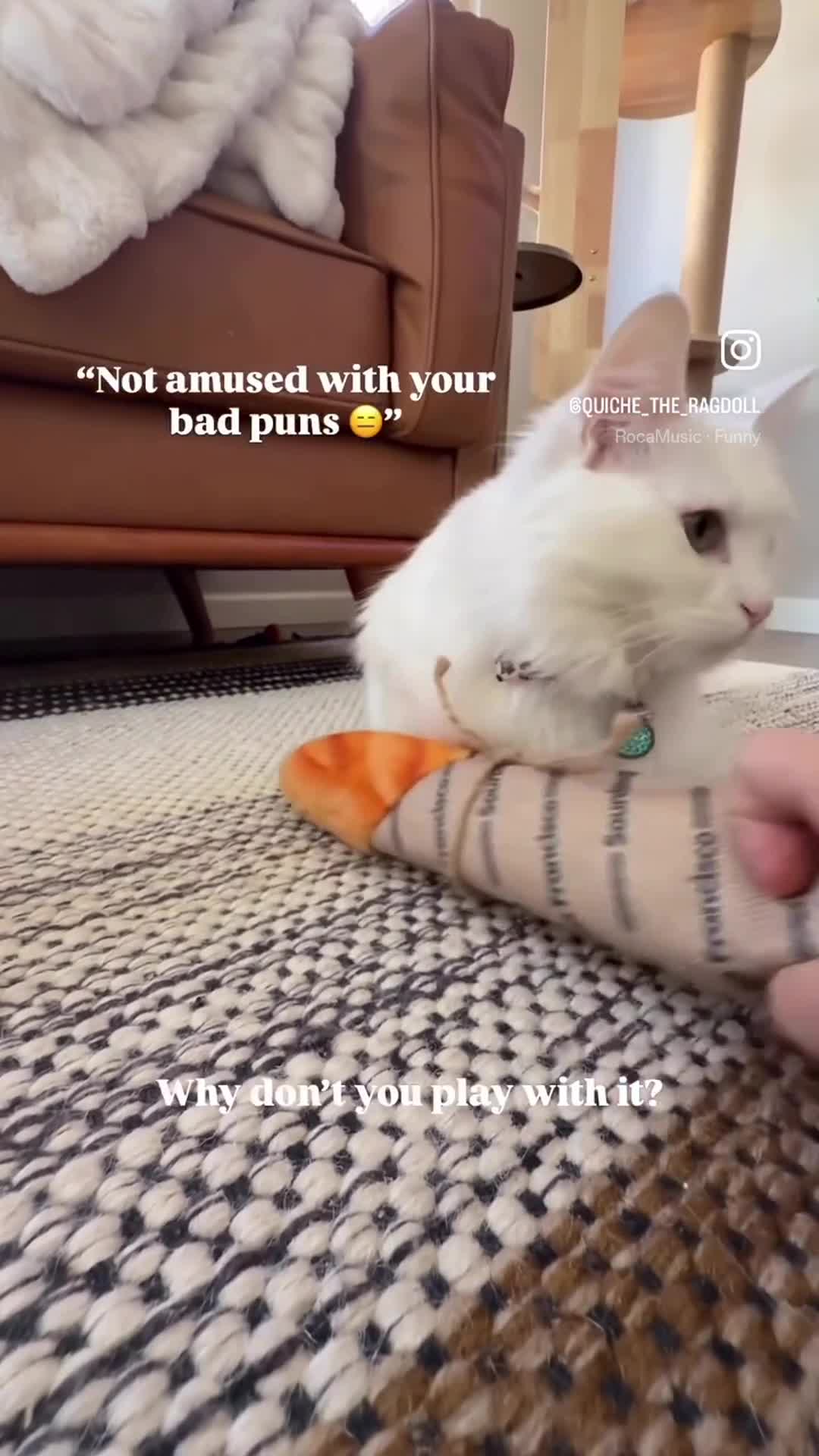 Related Video Item Thumbnail