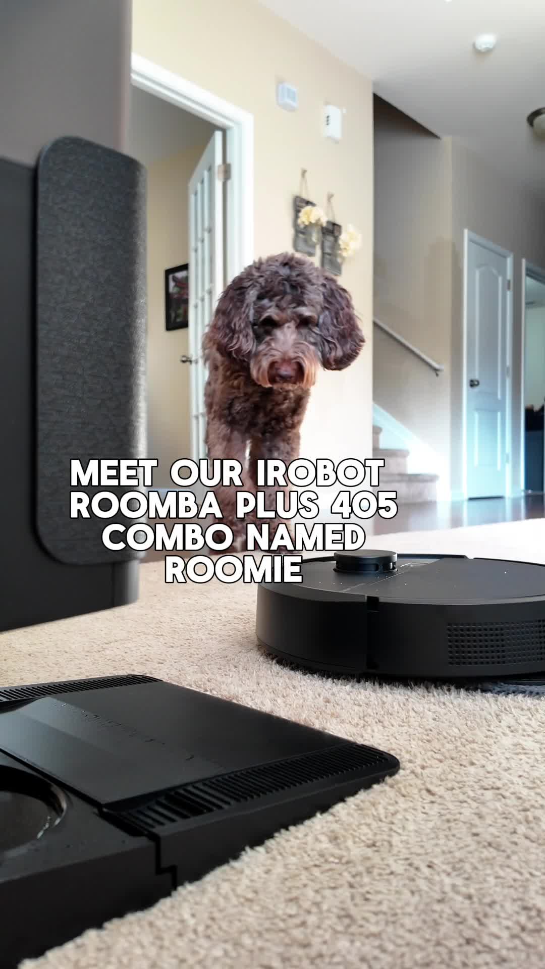 iRobot Roomba 405 Product Review