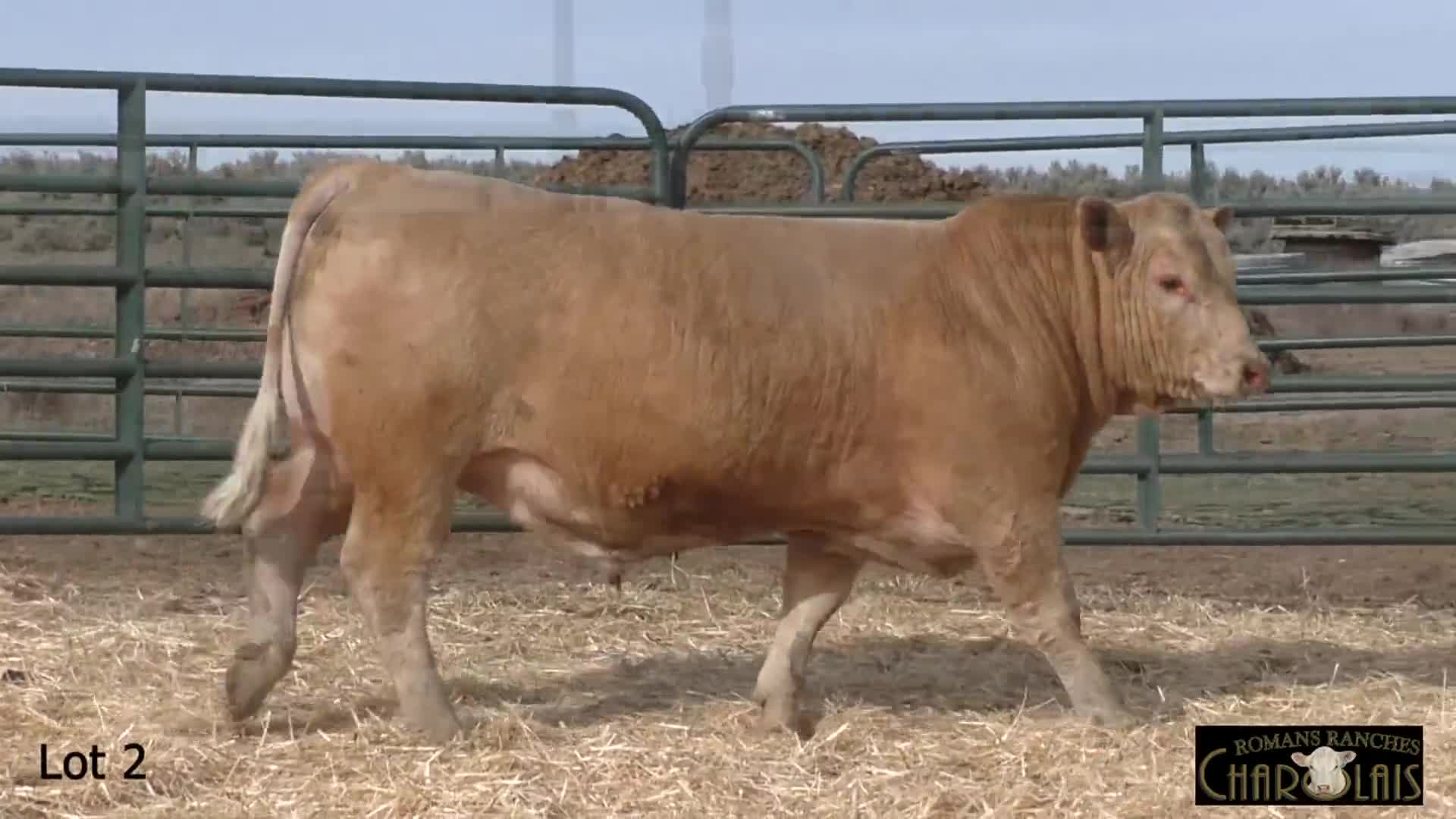 Related Video Item Thumbnail