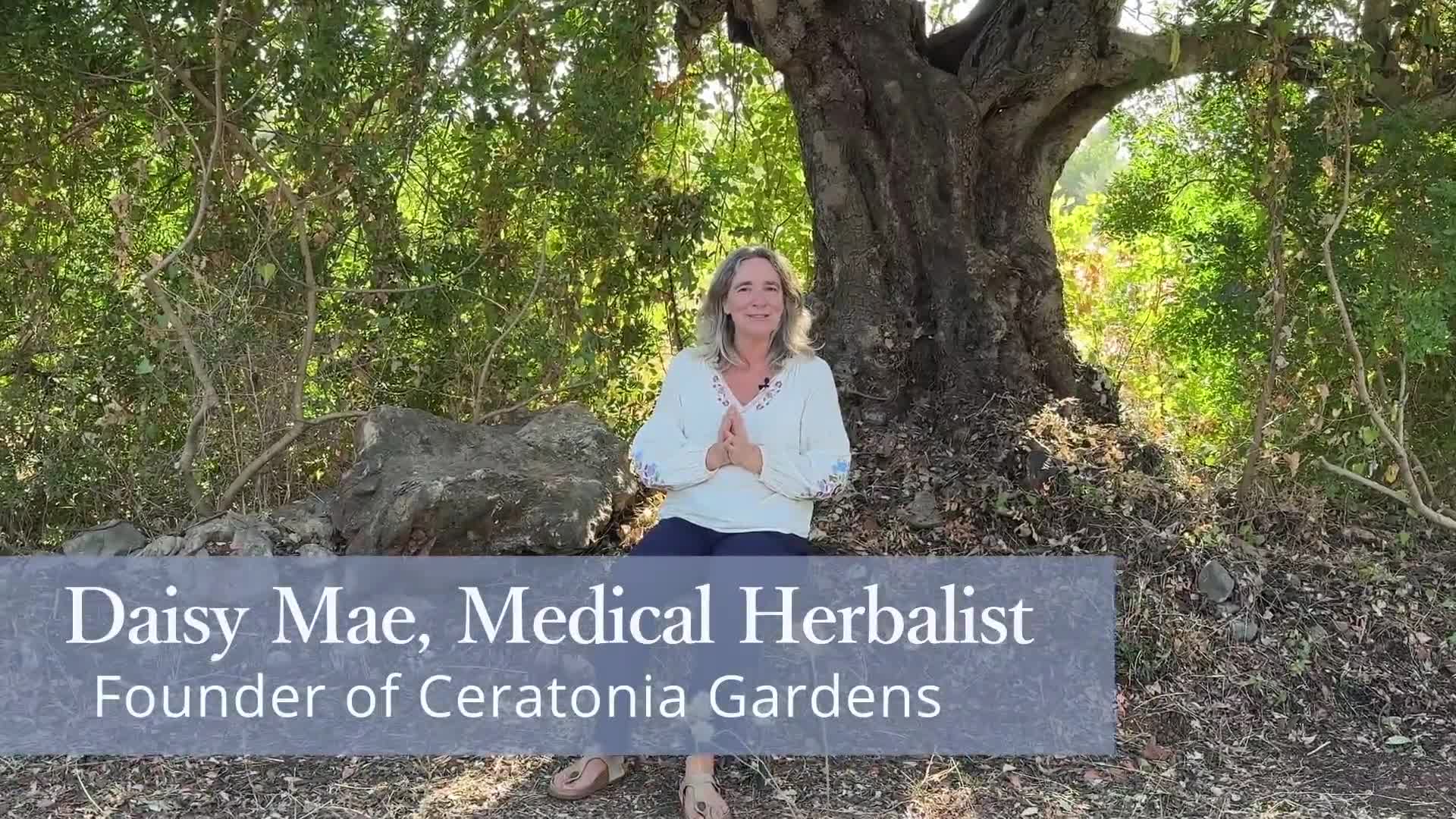 Ceratonia Gardens