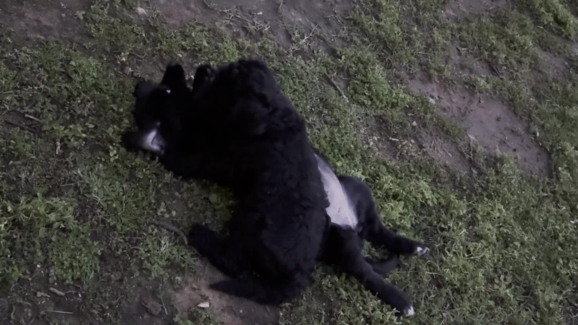 Related Video Item Thumbnail