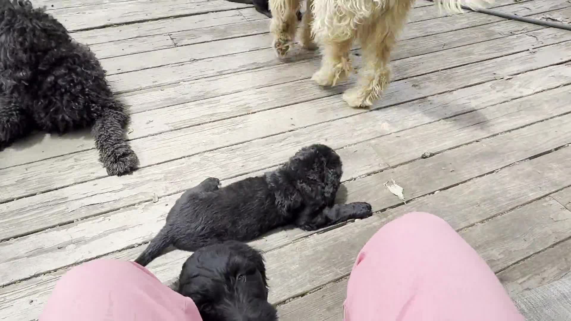 Related Video Item Thumbnail