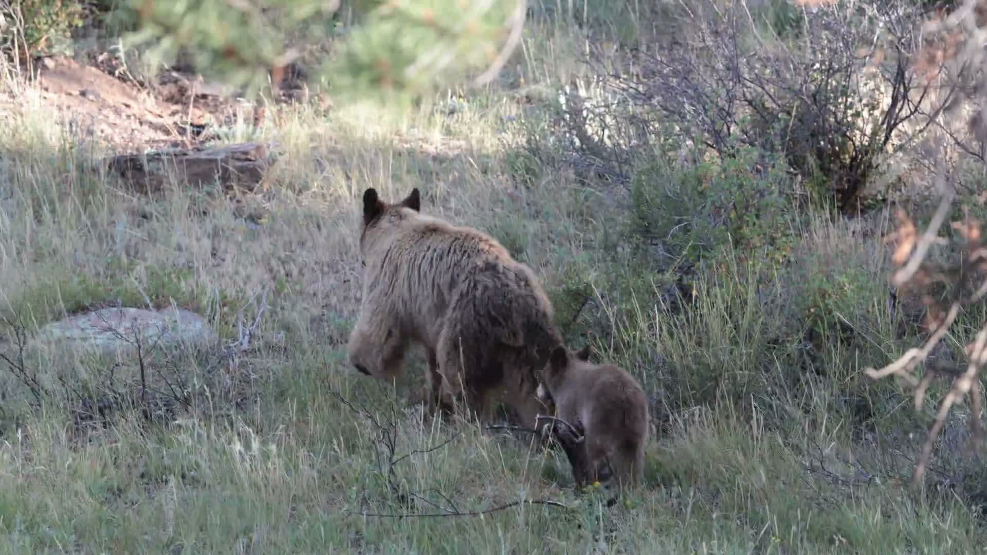 Related Video Item Thumbnail
