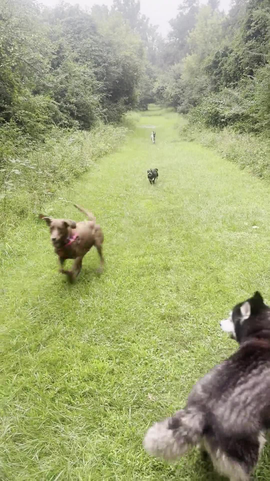 Related Video Item Thumbnail