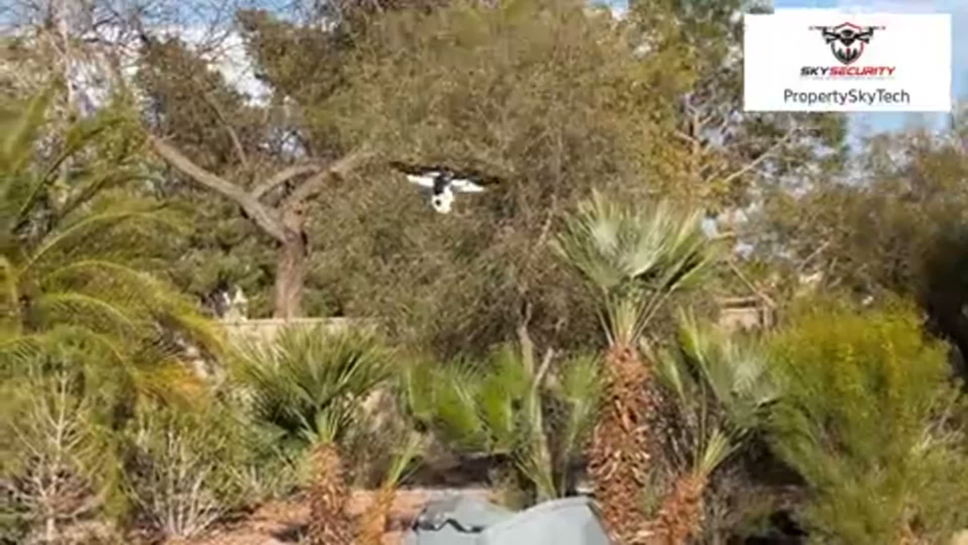 Related Video Item Thumbnail