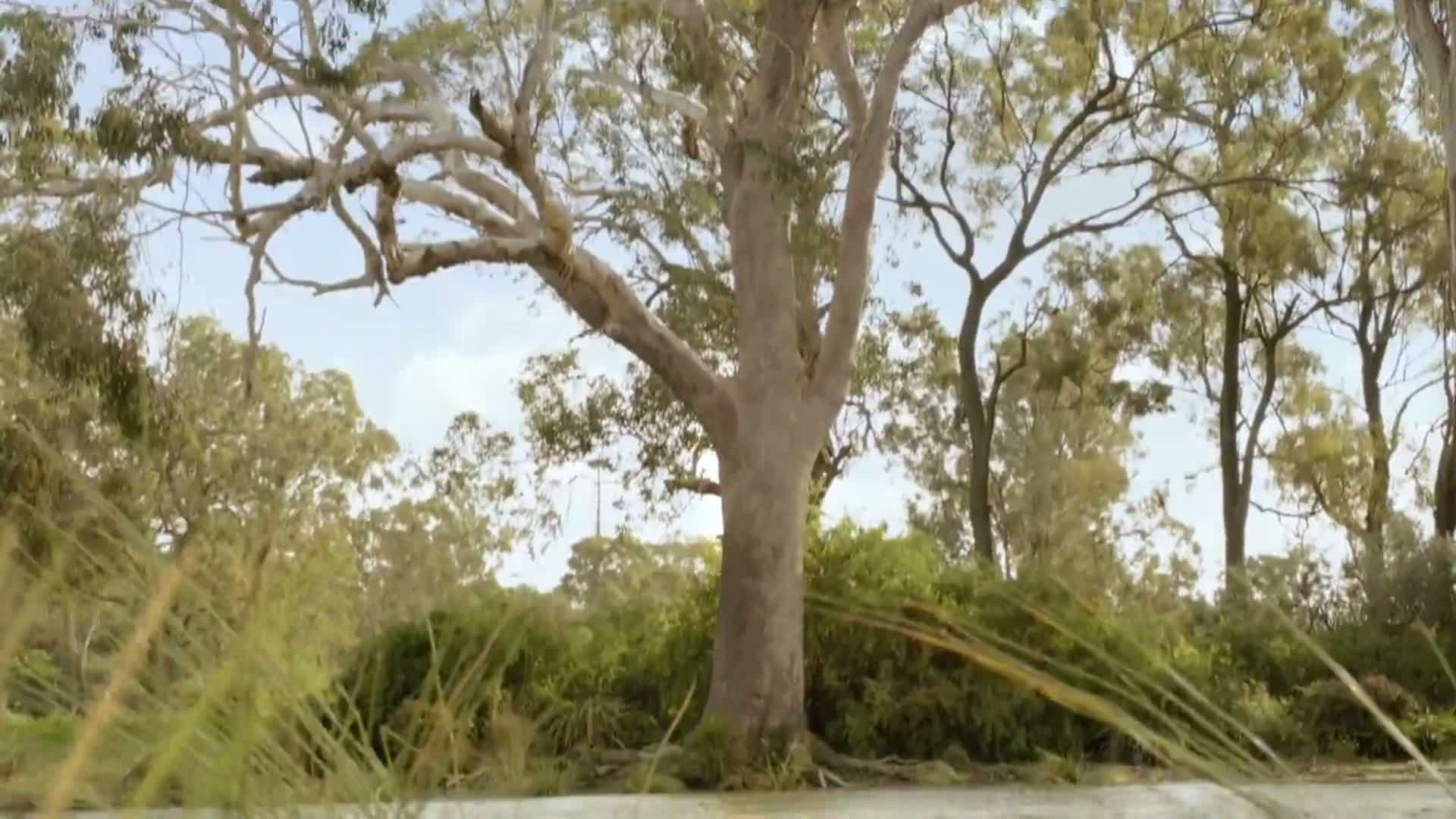 Related Video Item Thumbnail